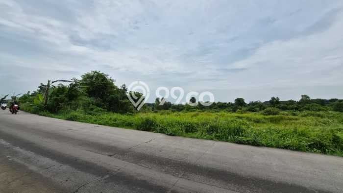 Lahan Investasi Lokasi Cileles Lebak AJB Lahan Investasi Lokasi Cileles Lebak AJB