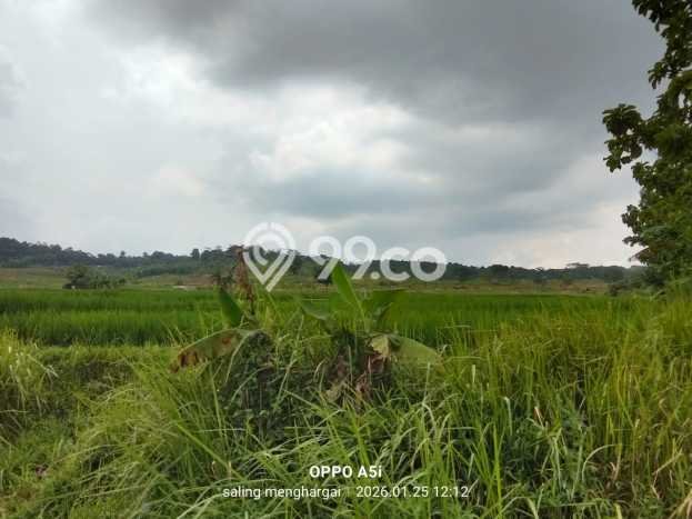 Tanah Kavling untuk Dijual di Jonggol Bogor 2e+06m2 Tanah Kavling untuk Dijual di Jonggol Bogor 2e+06m2