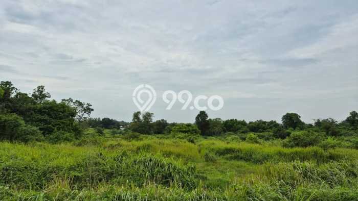 Lahan Investasi Lokasi Cileles Lebak AJB Lahan Investasi Lokasi Cileles Lebak AJB