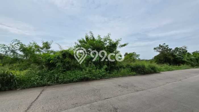 Lahan Investasi Lokasi Cileles Lebak AJB Lahan Investasi Lokasi Cileles Lebak AJB