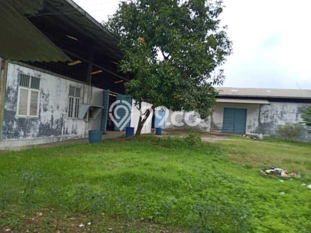 Untuk Dijual! Gudang di Cikiwul Bekasi LT 3400m2 / LB 1000m2 Kawasan Strategis Untuk Dijual! Gudang di Cikiwul Bekasi LT 3400m2 / LB 1000m2 Kawasan Strategis