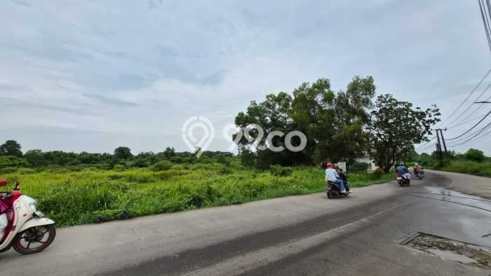 Lahan Investasi Lokasi Cileles Lebak AJB Lahan Investasi Lokasi Cileles Lebak AJB
