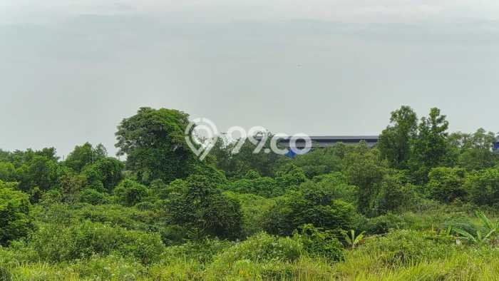 Lahan Investasi Lokasi Cileles Lebak AJB Lahan Investasi Lokasi Cileles Lebak AJB