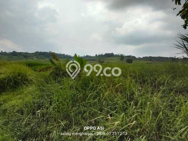 Tanah Kavling untuk Dijual di Jonggol Bogor 2e+06m2 Tanah Kavling untuk Dijual di Jonggol Bogor 2e+06m2