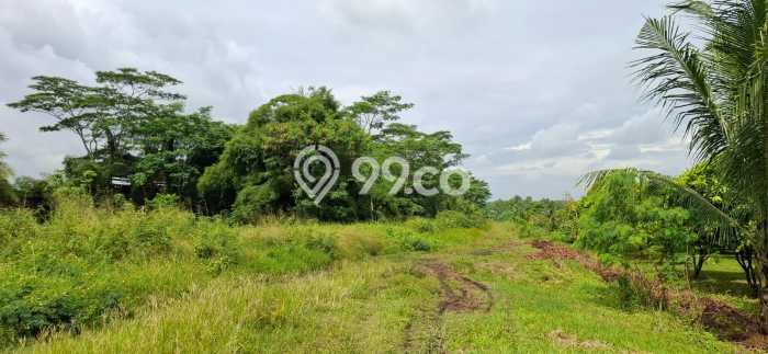 Tanah untuk Dijual di Cikande Serang Luas 4e+06m2 Tanah untuk Dijual di Cikande Serang Luas 4e+06m2