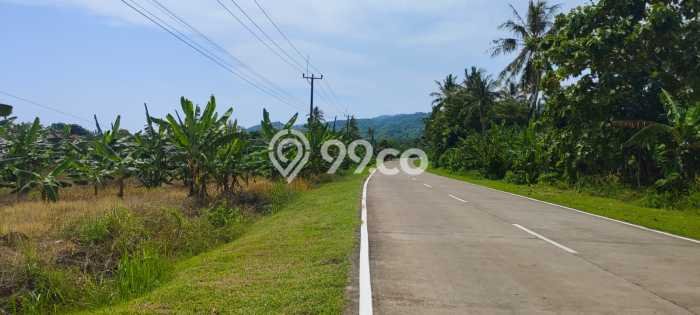 Tanah Dijual Lokasi Strategis di Pandeglang dengan Luas 3366m2 Tanah Dijual Lokasi Strategis di Pandeglang dengan Luas 3366m2