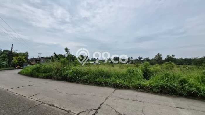 Lahan untuk Dijual Lokasi Cileles, Lebak Luas 100000m2 SHM Lahan untuk Dijual Lokasi Cileles, Lebak Luas 100000m2 SHM
