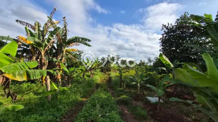 Dijual Tanah 40000m2 di Jatake, Tangerang Dijual Tanah 40000m2 di Jatake, Tangerang