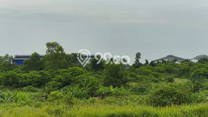 Lahan Investasi Lokasi Cileles Lebak AJB Lahan Investasi Lokasi Cileles Lebak AJB