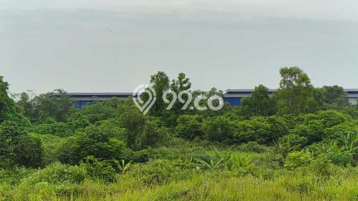 Lahan Investasi Lokasi Cileles Lebak AJB Lahan Investasi Lokasi Cileles Lebak AJB