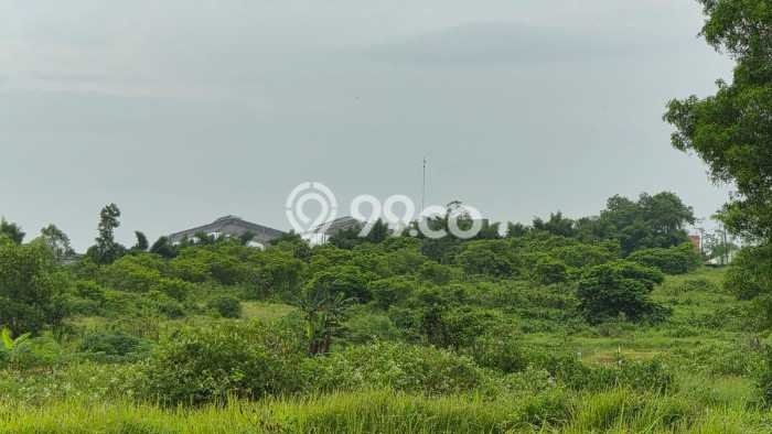 Lahan Investasi Lokasi Cileles Lebak AJB Lahan Investasi Lokasi Cileles Lebak AJB