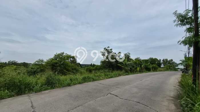 Lahan Investasi Lokasi Cileles Lebak AJB Lahan Investasi Lokasi Cileles Lebak AJB