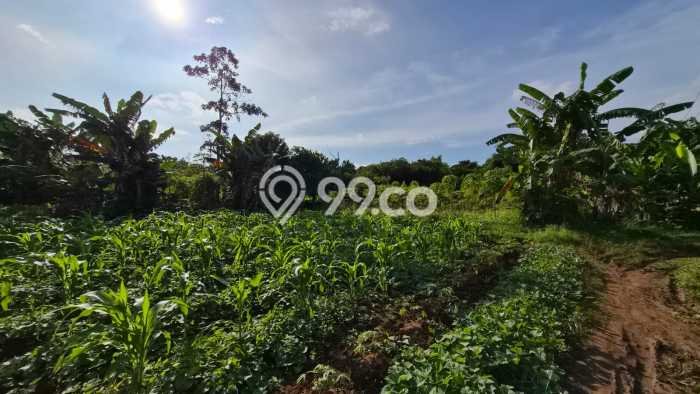 Dijual Tanah 40000m2 di Jatake, Tangerang Dijual Tanah 40000m2 di Jatake, Tangerang