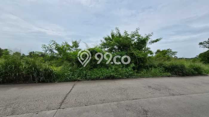 Lahan Investasi Lokasi Cileles Lebak AJB Lahan Investasi Lokasi Cileles Lebak AJB