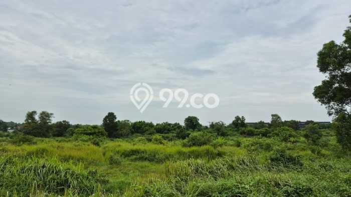 Lahan Investasi Lokasi Cileles Lebak AJB Lahan Investasi Lokasi Cileles Lebak AJB