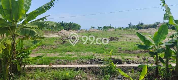 Tanah Dijual Lokasi Strategis di Pandeglang dengan Luas 3366m2 Tanah Dijual Lokasi Strategis di Pandeglang dengan Luas 3366m2