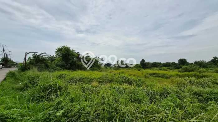 Lahan Investasi Lokasi Cileles Lebak AJB Lahan Investasi Lokasi Cileles Lebak AJB