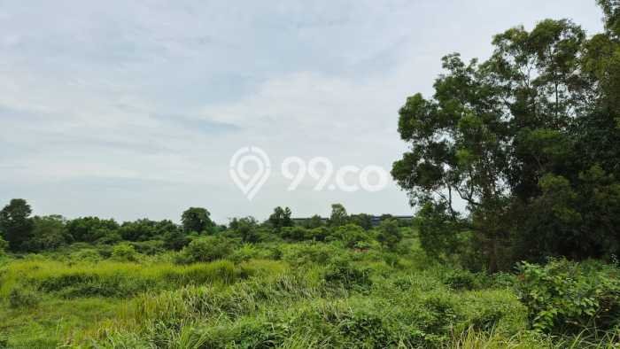 Lahan Investasi Lokasi Cileles Lebak AJB Lahan Investasi Lokasi Cileles Lebak AJB