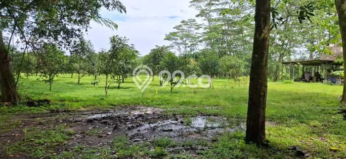 Tanah untuk Dijual di Cikande Serang Luas 4e+06m2 Tanah untuk Dijual di Cikande Serang Luas 4e+06m2