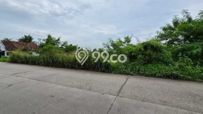 Lahan Investasi Lokasi Cileles Lebak AJB Lahan Investasi Lokasi Cileles Lebak AJB