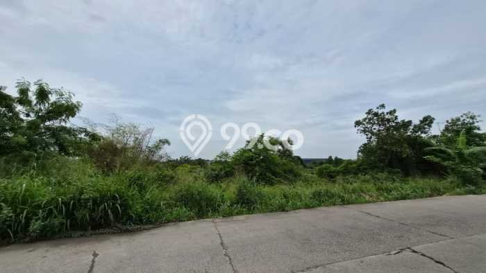 Lahan Investasi Lokasi Cileles Lebak AJB Lahan Investasi Lokasi Cileles Lebak AJB