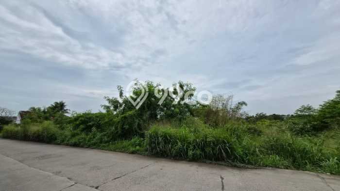 Lahan Investasi Lokasi Cileles Lebak AJB Lahan Investasi Lokasi Cileles Lebak AJB