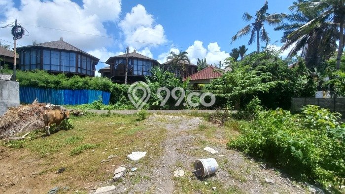 Tanah Kavling Dijual di canggu, Badung dengan Luas Tanah 1350m2 Tanah Kavling Dijual di canggu, Badung dengan Luas Tanah 1350m2