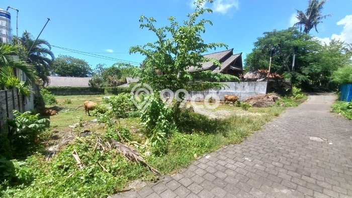Tanah Kavling Dijual di canggu, Badung dengan Luas Tanah 1350m2 Tanah Kavling Dijual di canggu, Badung dengan Luas Tanah 1350m2