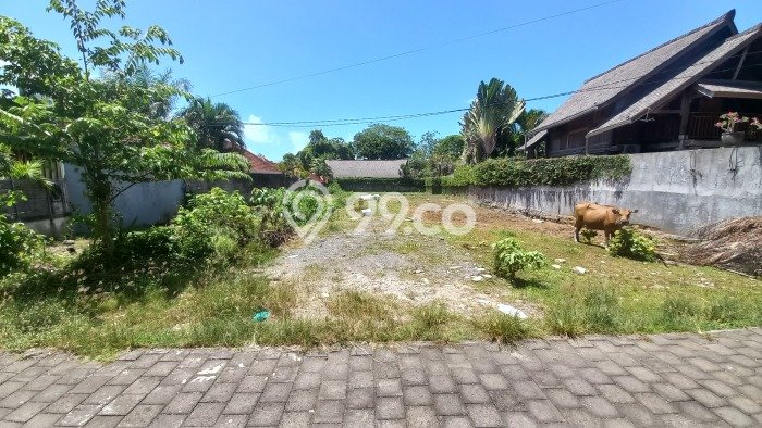 Tanah Kavling Dijual di canggu, Badung dengan Luas Tanah 1350m2 Tanah Kavling Dijual di canggu, Badung dengan Luas Tanah 1350m2