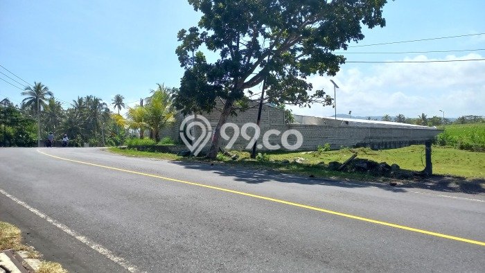 Tanah Kavling Dijual di Tabanan dengan Spesifikasi 1200m2 Tanah Kavling Dijual di Tabanan dengan Spesifikasi 1200m2