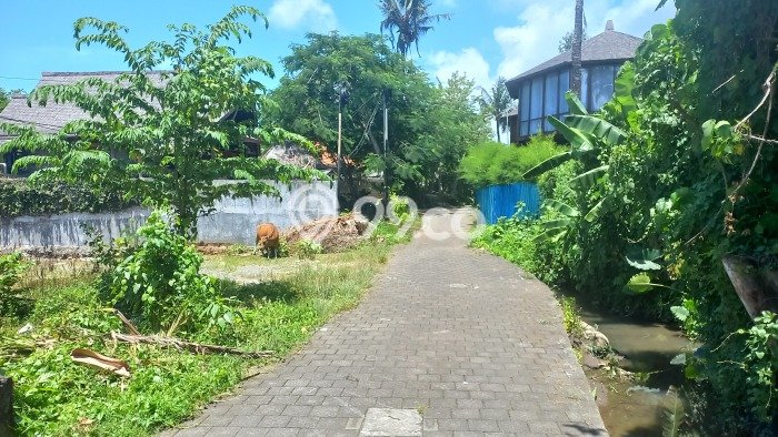 Tanah Kavling Dijual di canggu, Badung dengan Luas Tanah 1350m2 Tanah Kavling Dijual di canggu, Badung dengan Luas Tanah 1350m2