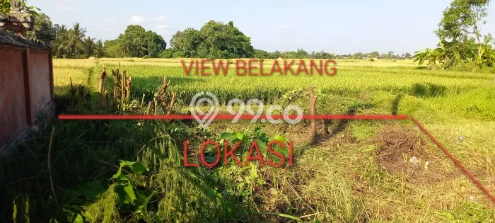 Tanah Kavling Dijual di Beraban, Tabanan dengan Luas Tanah 130m2 Tanah Kavling Dijual di Beraban, Tabanan dengan Luas Tanah 130m2