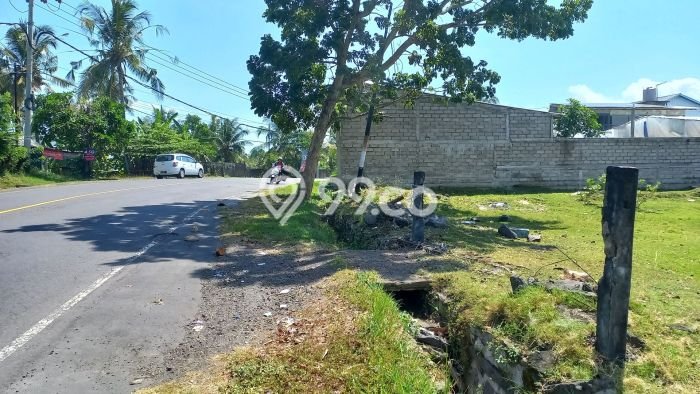Tanah Kavling Dijual di Tabanan dengan Spesifikasi 1200m2 Tanah Kavling Dijual di Tabanan dengan Spesifikasi 1200m2