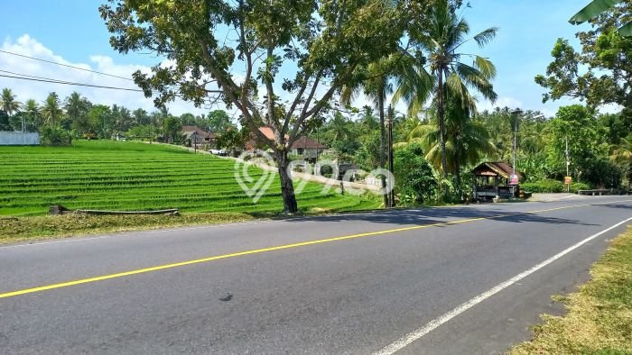 Tanah Kavling Dijual di Tabanan dengan Spesifikasi 1200m2 Tanah Kavling Dijual di Tabanan dengan Spesifikasi 1200m2