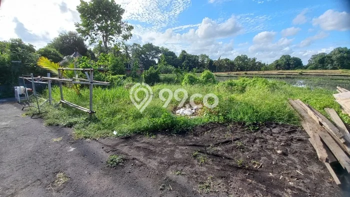 Tanah Kavling Dijual di Beraban, Tabanan dengan Luas Tanah 130m2 Tanah Kavling Dijual di Beraban, Tabanan dengan Luas Tanah 130m2