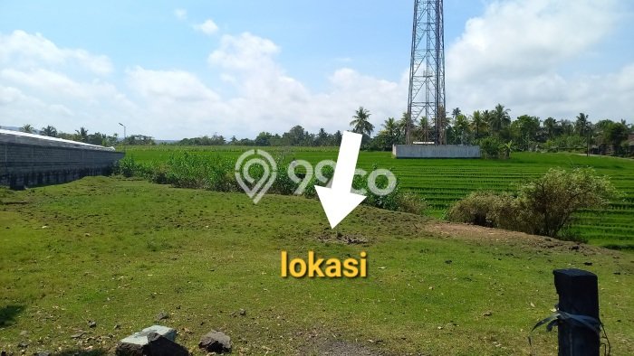 Tanah Kavling Dijual di Tabanan dengan Spesifikasi 1200m2 Tanah Kavling Dijual di Tabanan dengan Spesifikasi 1200m2