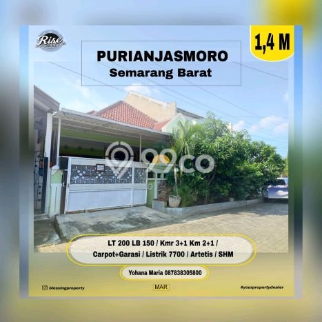 Dijual Hunian Rumah Terawat 3 Kamar di Puri Anjasmoro, Semarang Dijual Hunian Rumah Terawat 3 Kamar di Puri Anjasmoro, Semarang