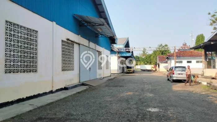 Gudang Dijual di Warureja Tegal dengan LB 8309m2 Gudang Dijual di Warureja Tegal dengan LB 8309m2