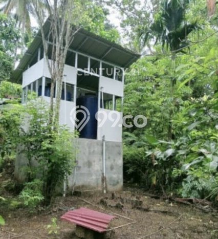 Pabrik Dijual Lokasi Stratagis di Kauditan Minahasa Utara Cocok untuk Investasi Pabrik Dijual Lokasi Stratagis di Kauditan Minahasa Utara Cocok untuk Investasi