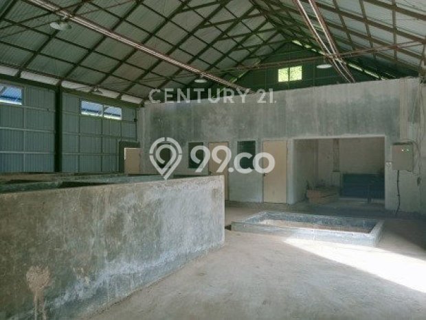 Pabrik Dijual Lokasi Stratagis di Kauditan Minahasa Utara Cocok untuk Investasi Pabrik Dijual Lokasi Stratagis di Kauditan Minahasa Utara Cocok untuk Investasi