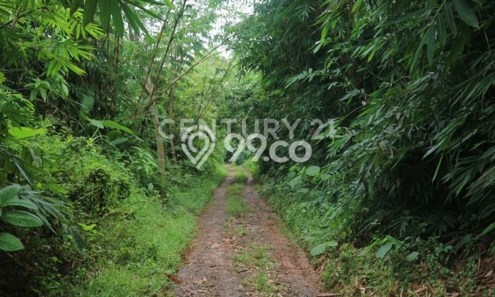 Lahan Dijual Lokasi Jatiluhur, Purwakarta dengan Luas Tanah 40000m2 dan Status SHM Lahan Dijual Lokasi Jatiluhur, Purwakarta dengan Luas Tanah 40000m2 dan Status SHM