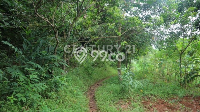 Lahan Dijual Lokasi Jatiluhur, Purwakarta dengan Luas Tanah 40000m2 dan Status SHM Lahan Dijual Lokasi Jatiluhur, Purwakarta dengan Luas Tanah 40000m2 dan Status SHM