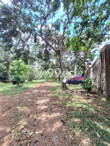 Tanah Kavling untuk Dijual di Jagakarsa Jakarta Selatan 5000m2 Tanah Kavling untuk Dijual di Jagakarsa Jakarta Selatan 5000m2