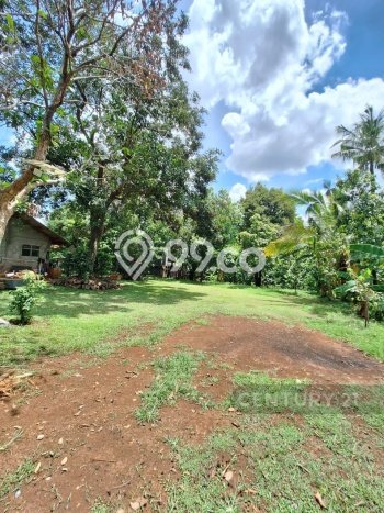 Tanah Kavling untuk Dijual di Jagakarsa Jakarta Selatan 5000m2 Tanah Kavling untuk Dijual di Jagakarsa Jakarta Selatan 5000m2