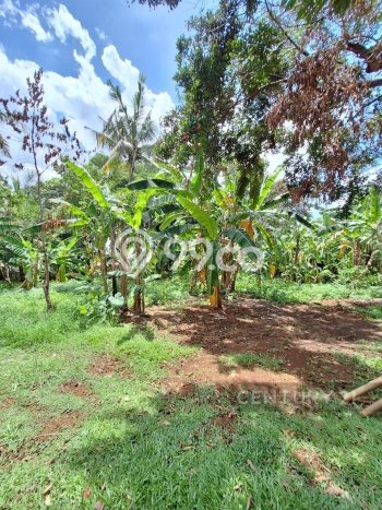 Tanah Kavling untuk Dijual di Jagakarsa Jakarta Selatan 5000m2 Tanah Kavling untuk Dijual di Jagakarsa Jakarta Selatan 5000m2