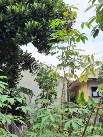Kavling Tanah untuk Dijual di Bintaro, Tangerang Selatan, Luas 152m2 Kavling Tanah untuk Dijual di Bintaro, Tangerang Selatan, Luas 152m2