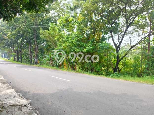 LOKASI STRATEGIS! Tanah di Polokarto, Luas 2100m2m², Lingkungan Asri, Cocok untuk Hunian LOKASI STRATEGIS! Tanah di Polokarto, Luas 2100m2m², Lingkungan Asri, Cocok untuk Hunian