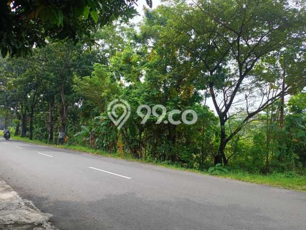 LOKASI STRATEGIS! Tanah di Polokarto, Luas 2100m2m², Lingkungan Asri, Cocok untuk Hunian LOKASI STRATEGIS! Tanah di Polokarto, Luas 2100m2m², Lingkungan Asri, Cocok untuk Hunian