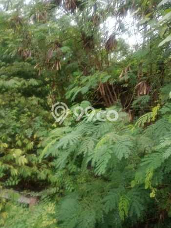 Tanah Komersial di Serengan, Luas 422m2m², Akses Mudah Tanah Komersial di Serengan, Luas 422m2m², Akses Mudah