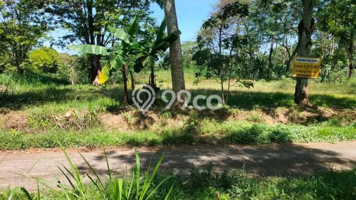 Jual Tanah Kawasan Bisnis di Mojosongo, Luas 4270m2m², Ideal untuk Pengembangan Jual Tanah Kawasan Bisnis di Mojosongo, Luas 4270m2m², Ideal untuk Pengembangan